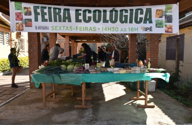 Foto de capa Feira Ecológica